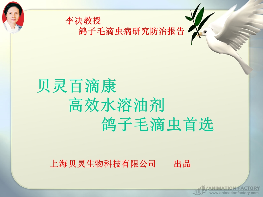 鸽子毛滴虫病的研究.ppt_第1页