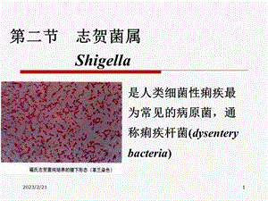 第10章(2) 肠杆菌科(1).ppt