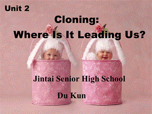 人教版高中英语课件：Unit 2 Where Is It Leading Us(2).ppt