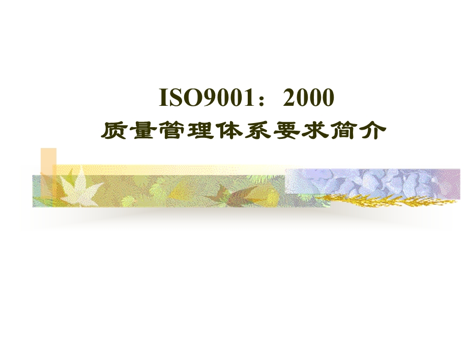 iso9001质量管理体系要求简介(1).ppt_第1页