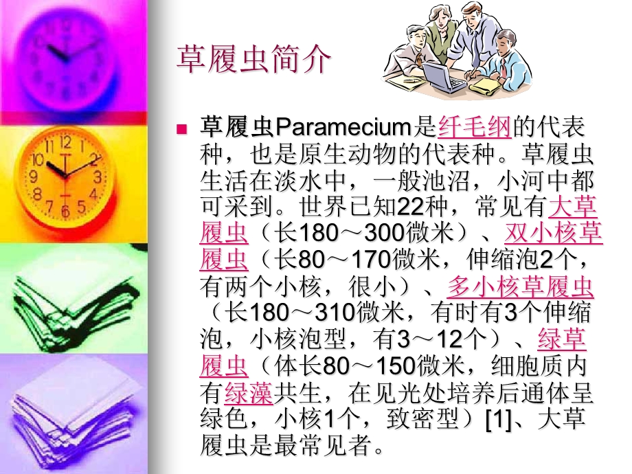 草履虫大揭秘（PPT X页） .ppt_第3页