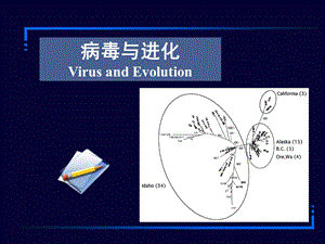 1 病毒和进化 讲稿.ppt