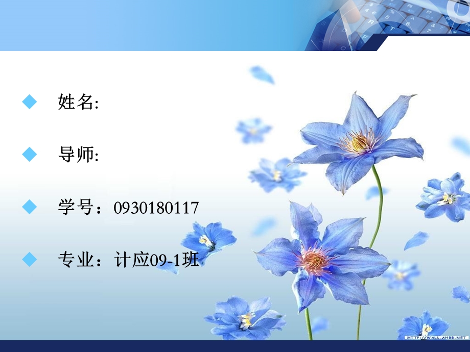 网络论坛系统毕业设计PPT.ppt_第2页