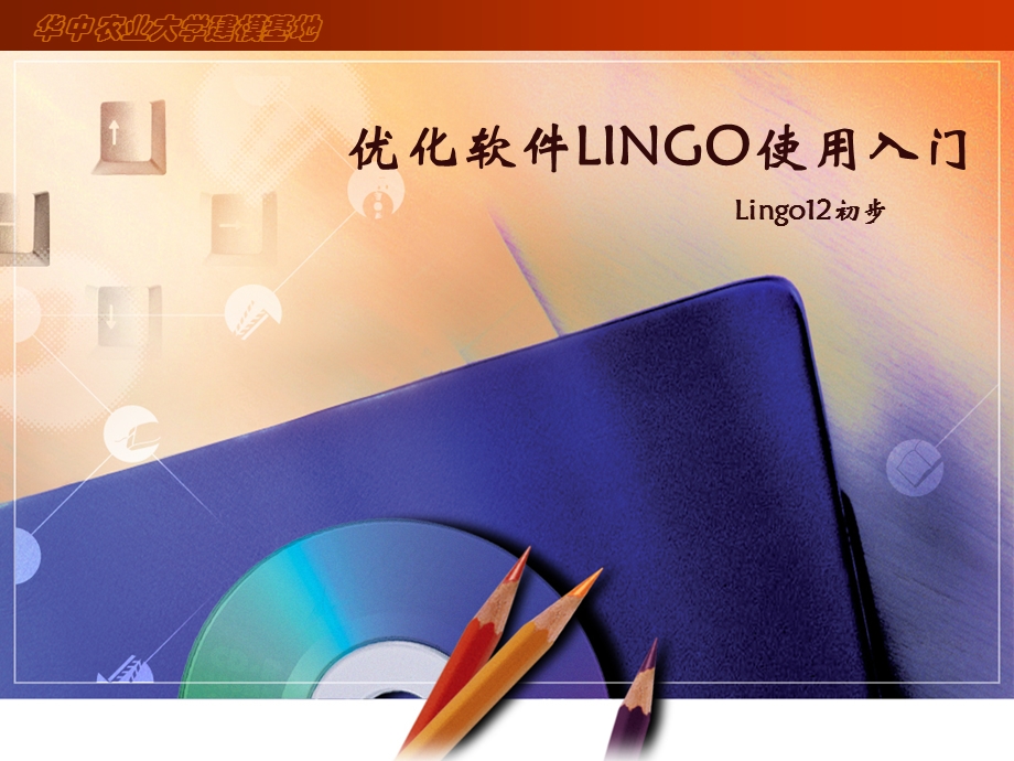 优化软件LINGO使用入门2013.ppt_第1页