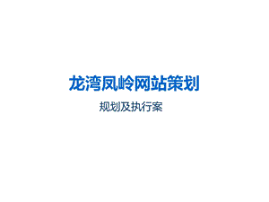 龙湾凤岭网站策划规划及执行方案(1).ppt