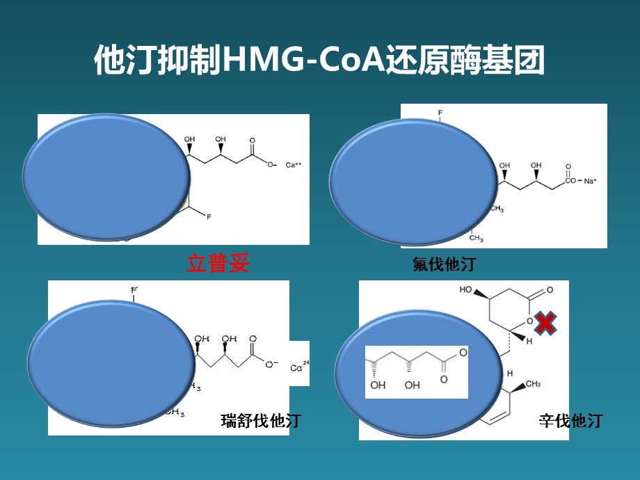 从机制探讨他汀疗效与安全性-.ppt_第3页