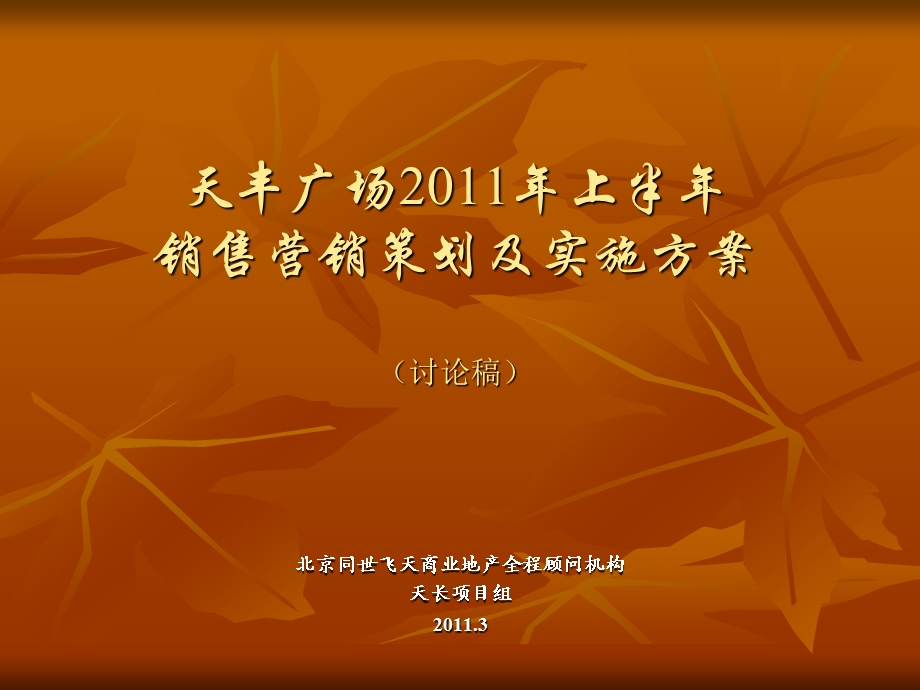 2011上半年安徽天丰广场销售营销策略方案（定稿-53页） (1).ppt_第1页