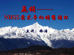 NBSS需求导向销售循环.ppt