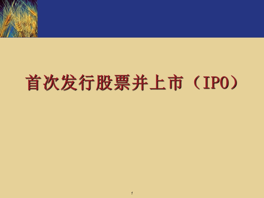 首次发行股票并上市（IPO） .ppt_第1页