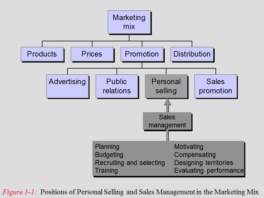 sales management(2).ppt_第2页