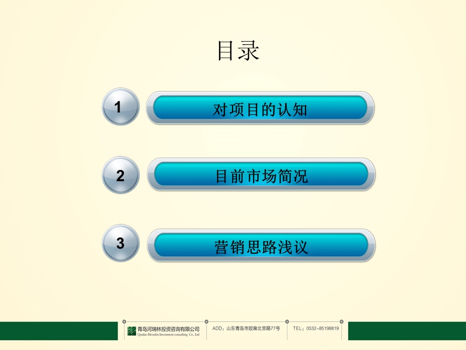 威海文登南海项目_营销思路概括.ppt_第2页