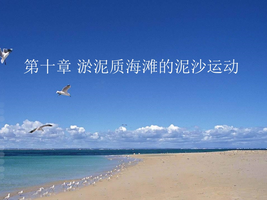 第十章淤泥质海滩的泥沙运动.ppt_第1页