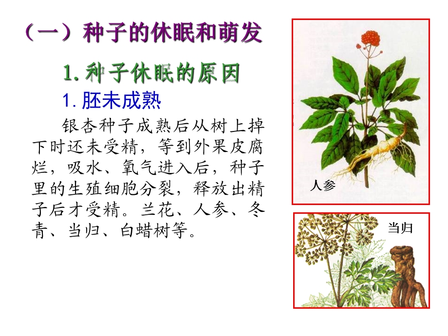 十一、植物的休眠、成熟和衰老生理.ppt_第1页