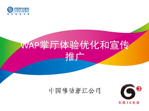 XX移动WAP渠道体验优化和宣传推广(1).ppt