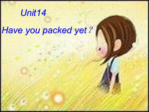 人教版新目标初中英语九年级《Unit 14 Have you packed yet》精品课件.ppt