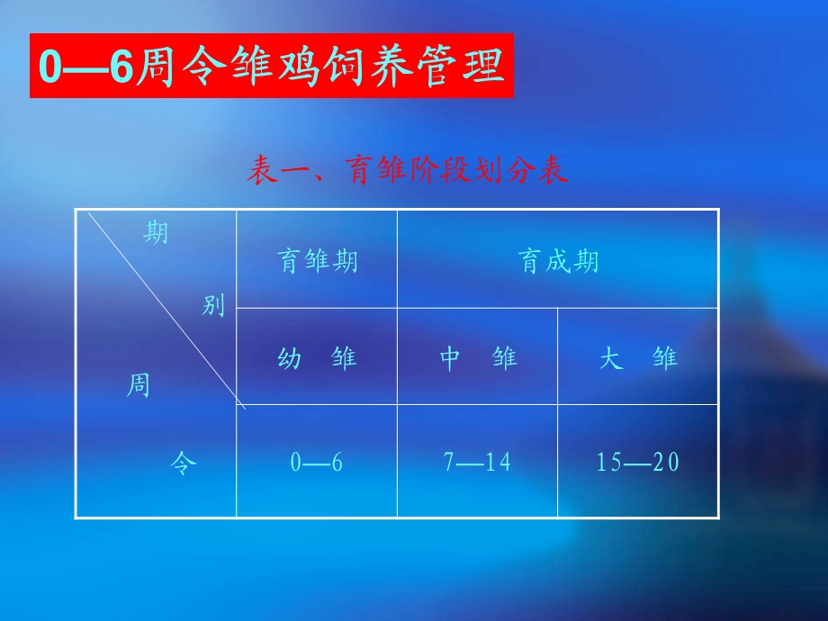 0—6周令雏鸡饲养管理技术--陕西省乾县农广校(1).ppt_第2页