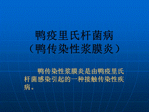 4.2 鸭传染性浆膜炎 - PowerPoint Presentation.ppt