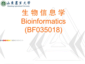 生物信息学概论.ppt