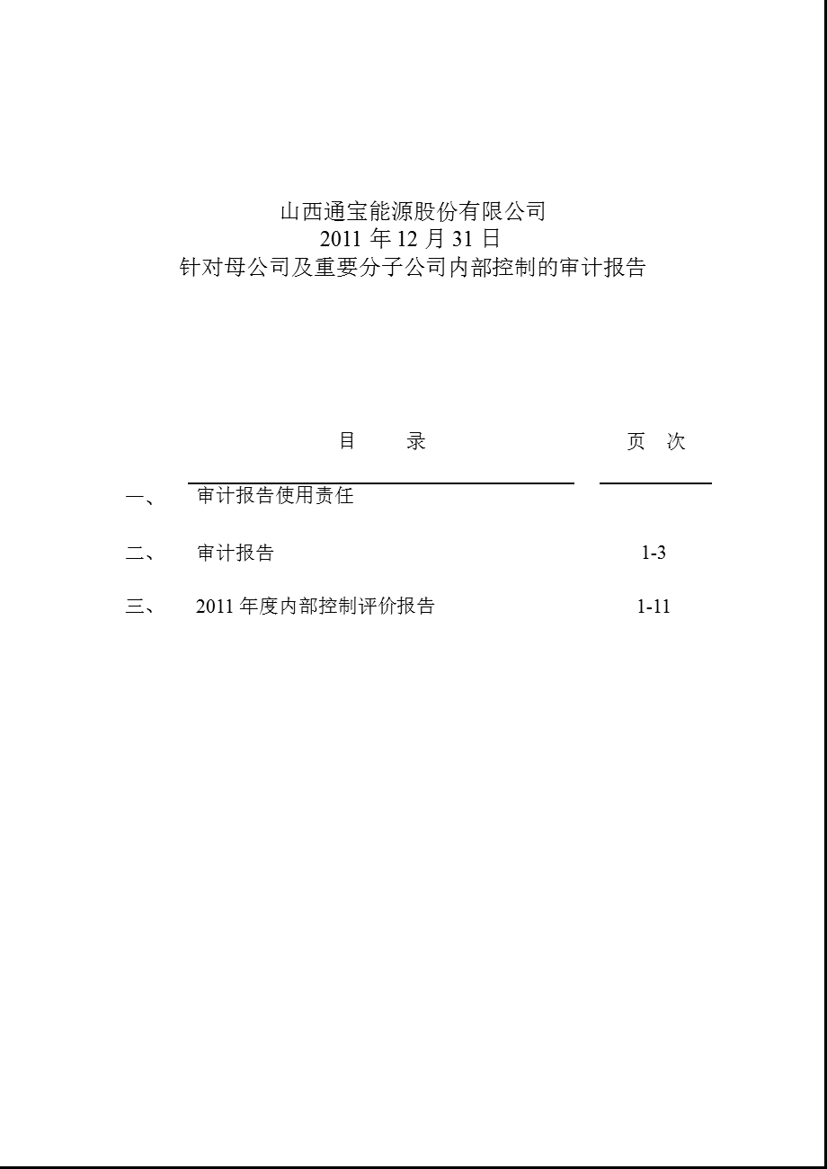 600780_2012通宝能源内部控制审计报告.ppt_第2页