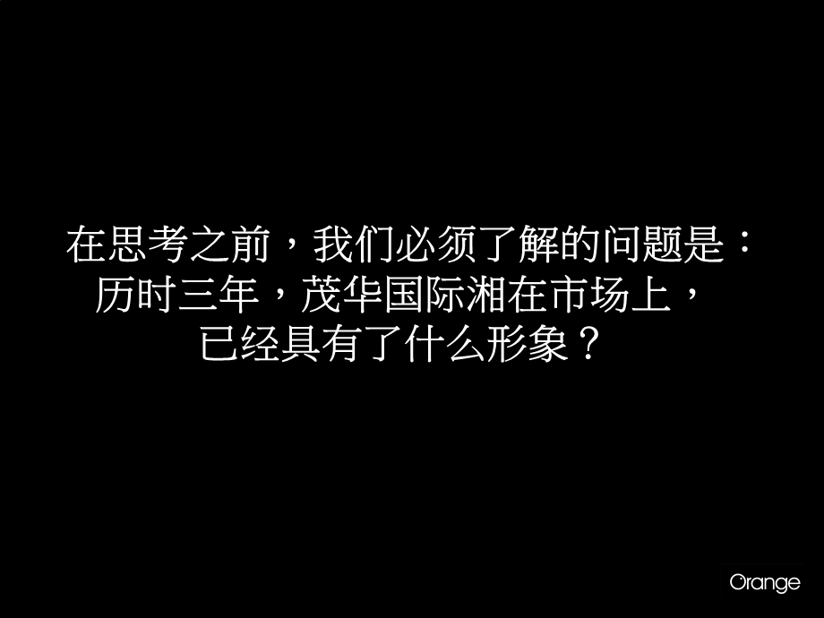 茂华国际湘2010年度策略及创意提案.ppt_第2页