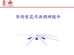 2007华润啤酒调研报告.ppt