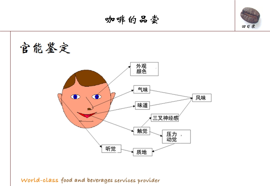 咖啡品尝冲泡设备方法和礼仪.ppt_第2页