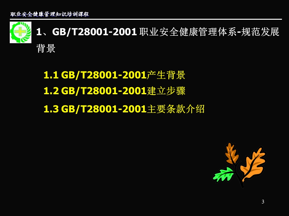 GB_T28001标准培训职业健康安全管理体系标准发展(1).ppt_第3页