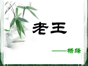 老王 名师 王君.ppt