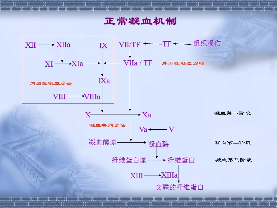 DIC诊断与治疗的新概念.ppt_第2页