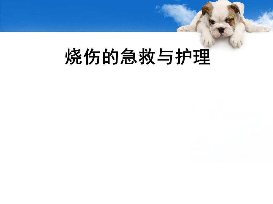 烧伤病人的护理.ppt_第1页