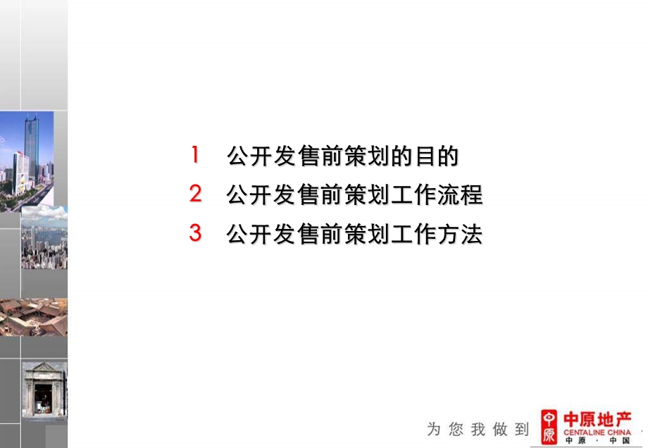 中原_地产项目公开发售前策划流程方法(1).ppt_第2页