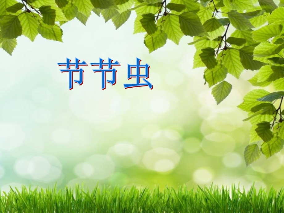 人美版小学二年级美术下册第六课《节节虫》课件.ppt_第3页