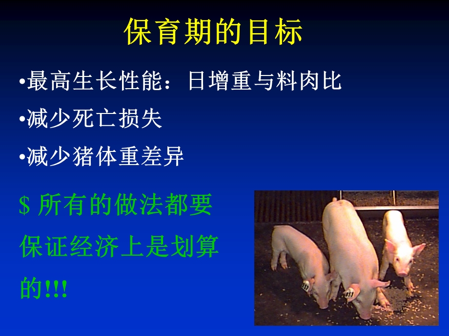 乳猪的饲料和饲养管理(六和培训资料).ppt_第2页