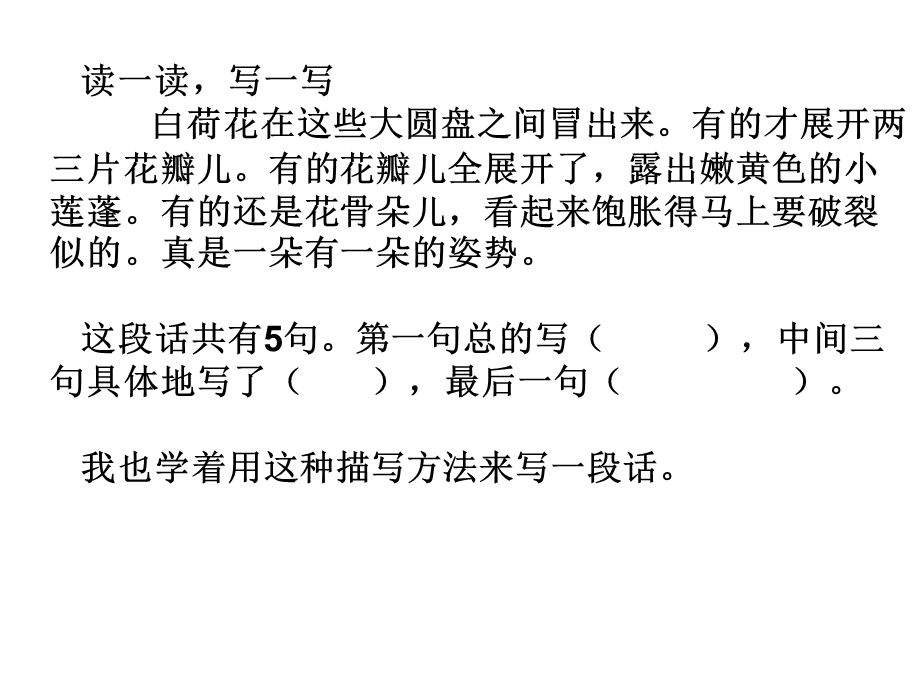 小学语文总分总段式有效教学例谈(2).ppt_第3页