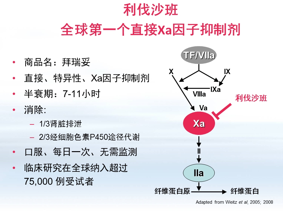 ROCKET_AF利伐沙班预防房颤卒中的研究结果解读.ppt_第2页