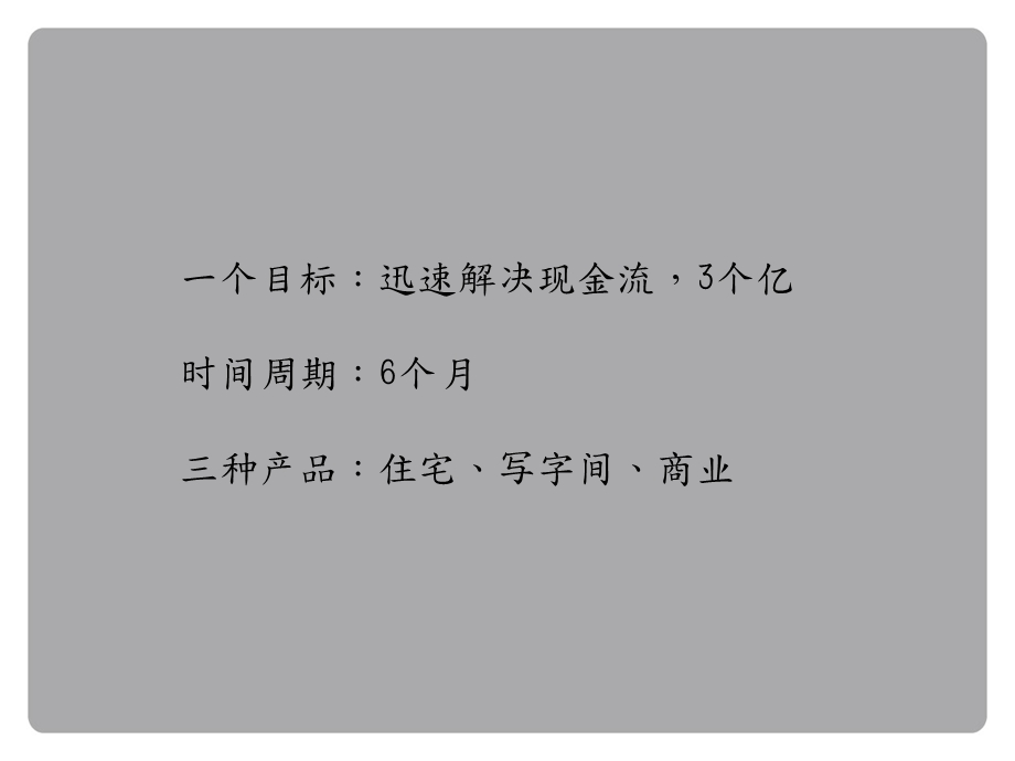 风至飞扬_山东临沂四季春天整合推广_114PPT_2010年.ppt_第2页