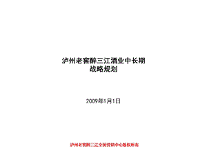 泸州老窖醉三江战略规划报告.ppt