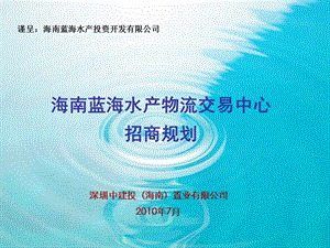 2010年7月海南蓝海水产物流交易中心招商规划(2).ppt