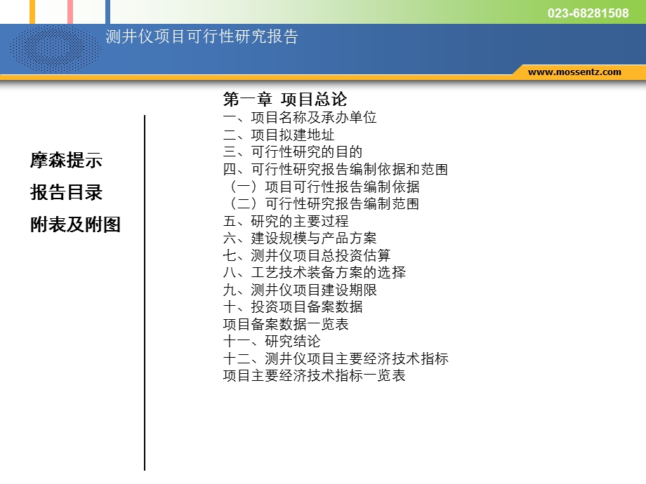 测井仪项目可行研究报告.ppt_第2页