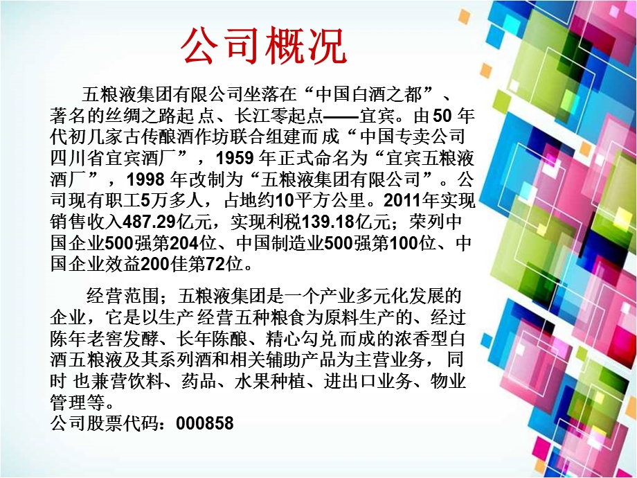 五粮液股份有限公司财务报表分析.ppt_第2页