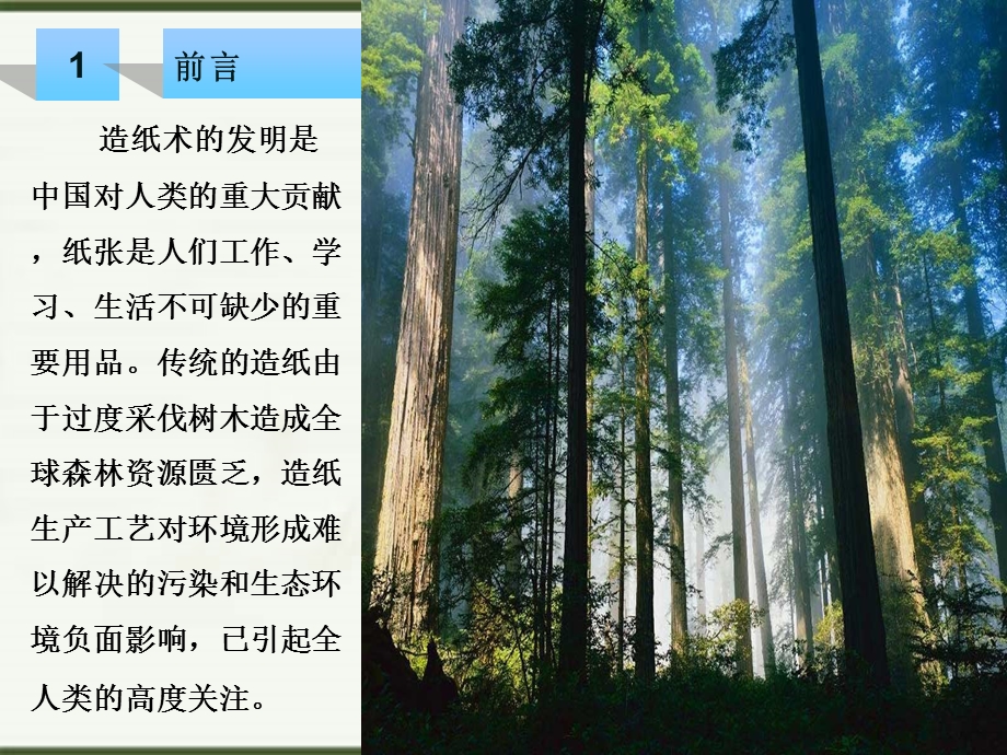 石头纸设备生产线(1).ppt_第3页