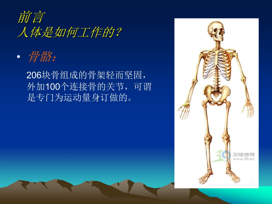 解剖运动肌肉.ppt.ppt_第2页