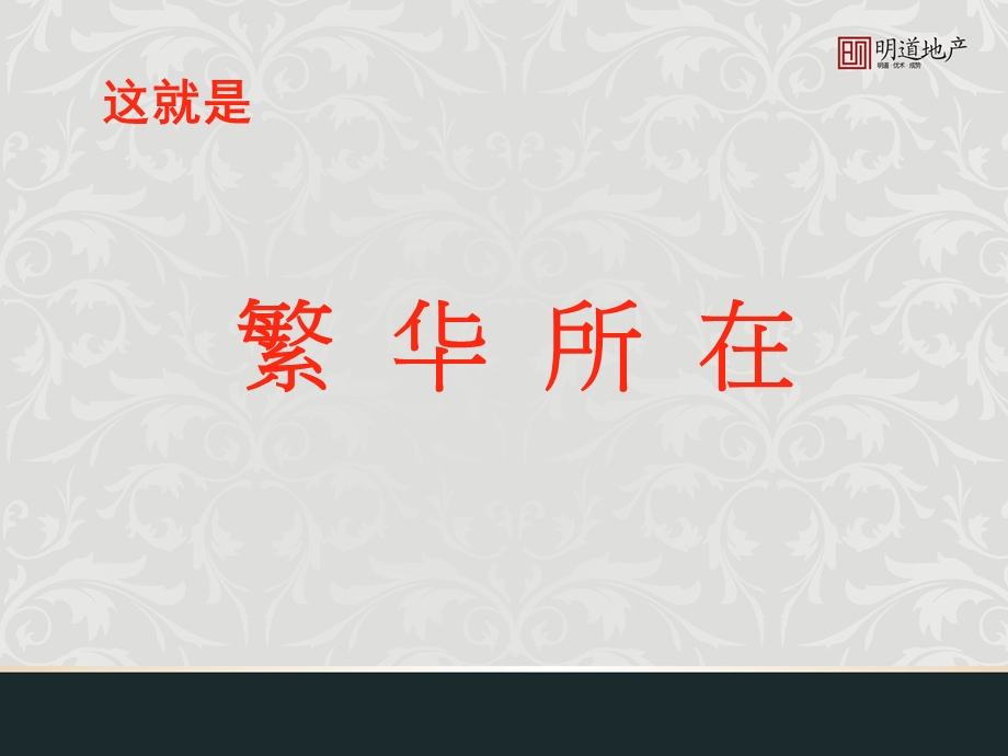 2011年世袭一城繁华-宁波项目全案营销策划报告172p.ppt_第3页