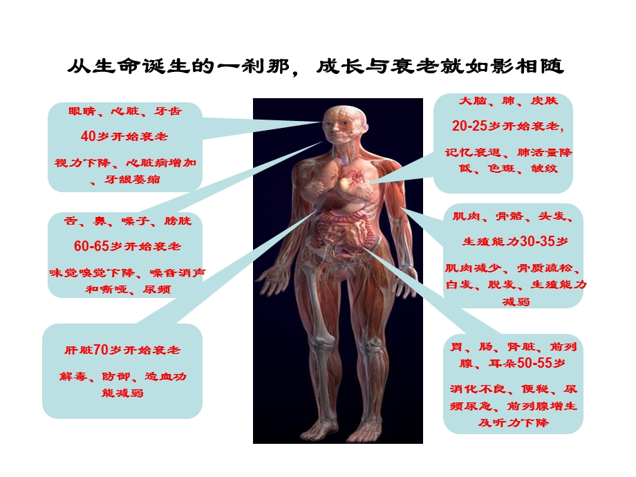 中医预防与养生保健科普知识讲座.ppt_第2页