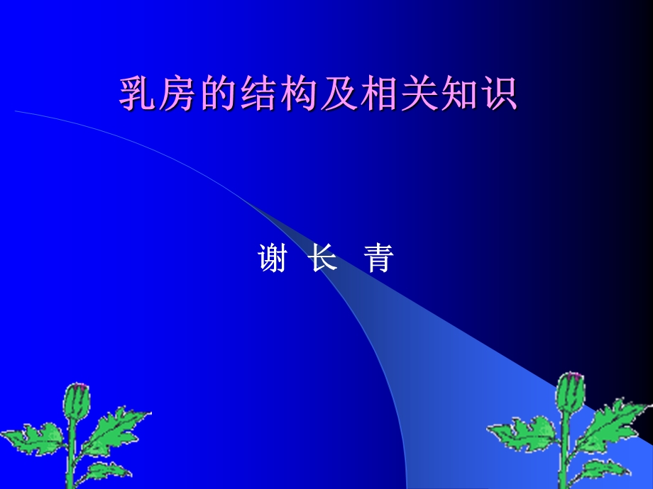 乳房的结构及相关知识.ppt.ppt_第1页