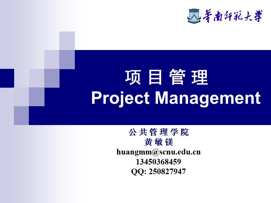 项目概述教学讲座PPT.ppt_第1页