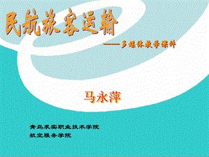 民航旅客运输.ppt