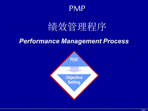 PMP 绩效管理程序.ppt