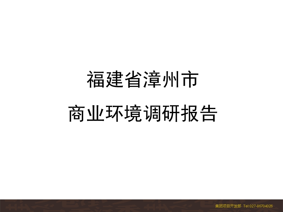 福建漳州商业环境市场调研报告（48页） (1).ppt_第1页