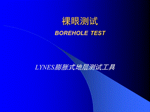 LYNES膨胀式地层测试工具(2).ppt